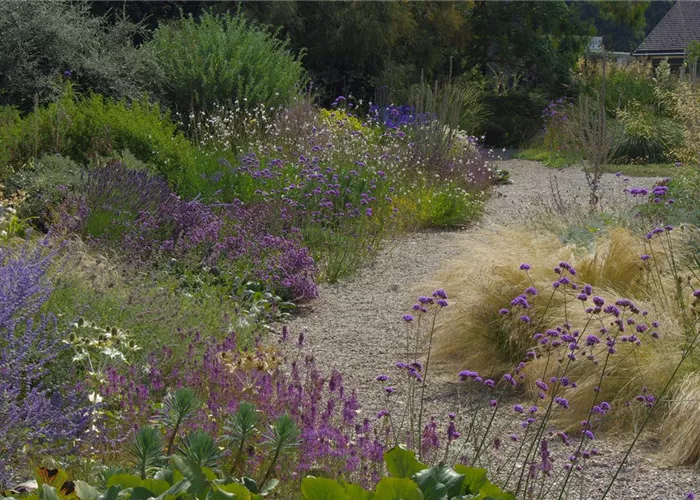 Kiesgarten - aber richtig!