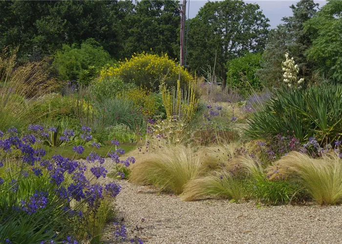 Trockenheitsverträglich