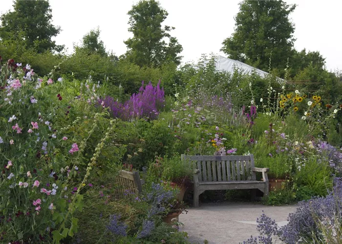 My Very British Garden